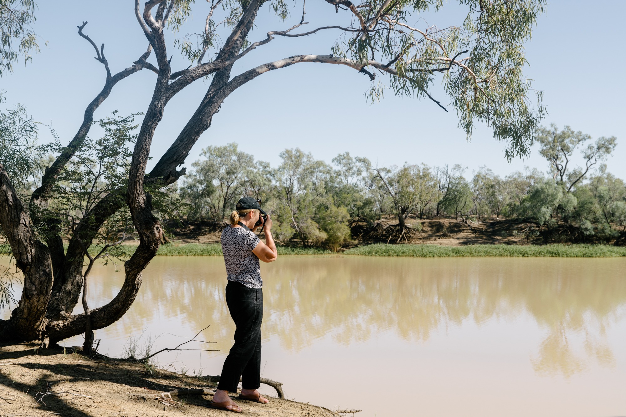 A women taking a photo from the banks of the Thomson River at Longreach.